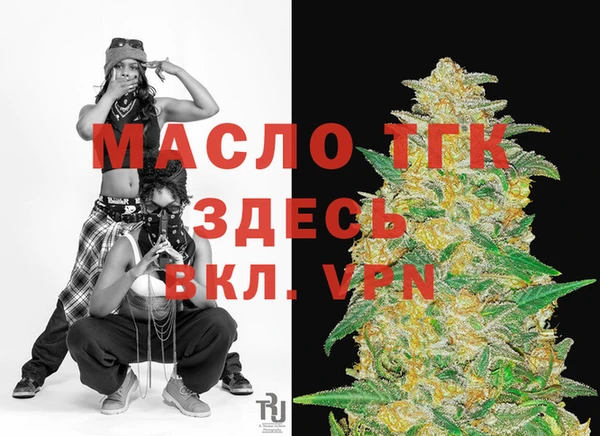 шишки Ельня