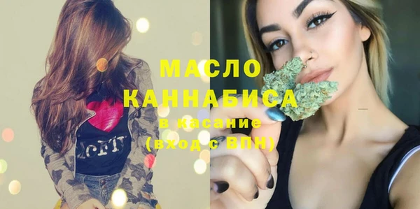 шишки Ельня