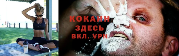 мяу мяу мука Елизово