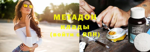 шишки Ельня