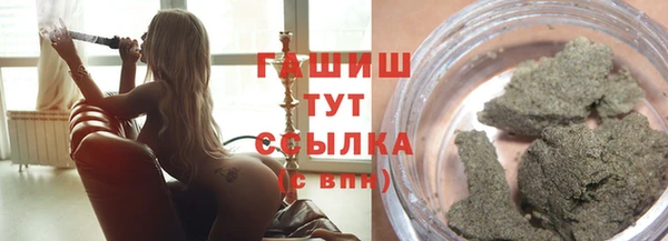 шишки Ельня