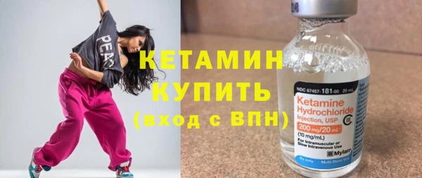 шишки Ельня