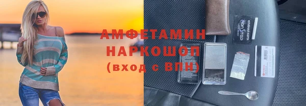 шишки Ельня