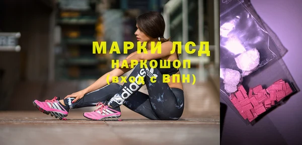 шишки Ельня