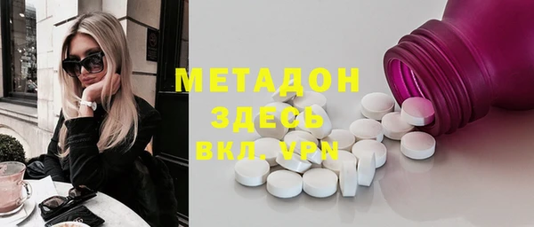 шишки Ельня