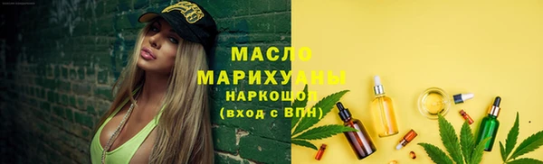 шишки Ельня