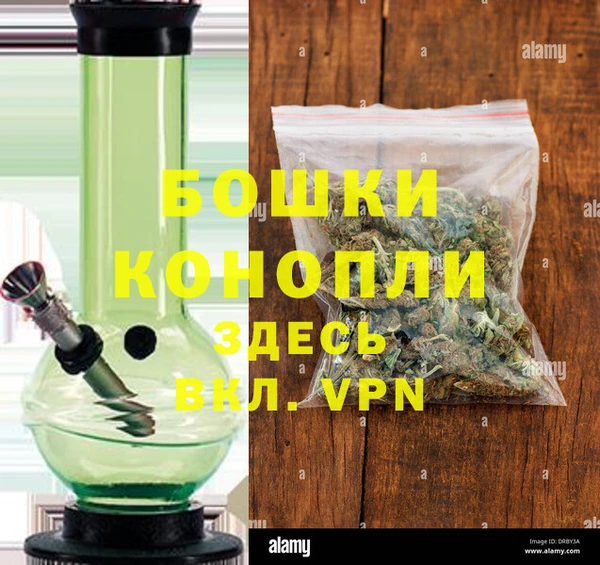 сатива Елабуга