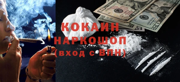 сатива Елабуга