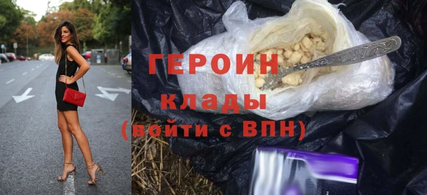 шишки Ельня