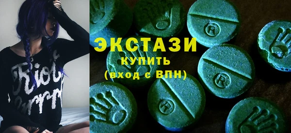 шишки Ельня