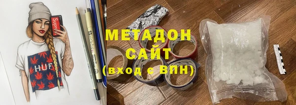 шишки Ельня
