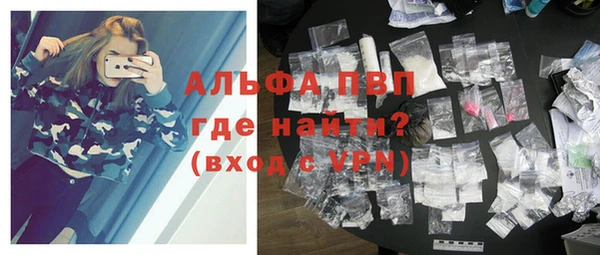 шишки Ельня