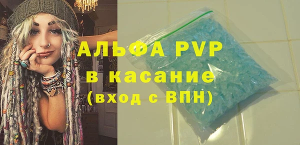 сатива Елабуга