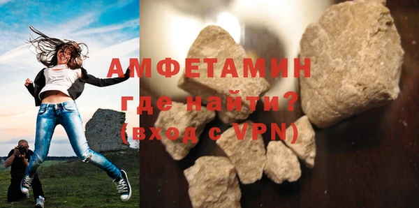 шишки Ельня