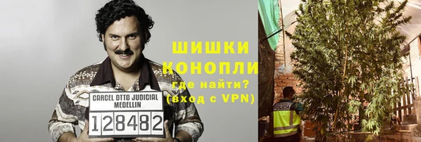 сатива Елабуга