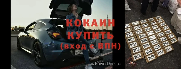 шишки Ельня