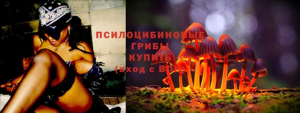 шишки Ельня