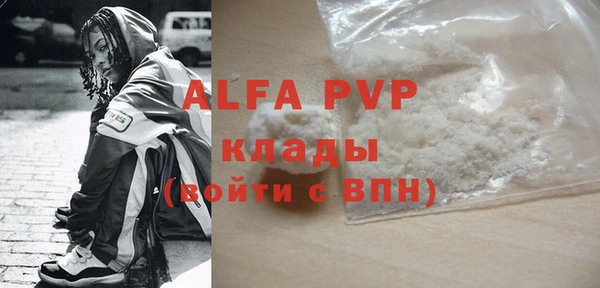 шишки Ельня