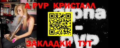 дмт Камышлов