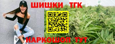 дмт Камышлов