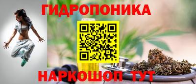 дмт Камышлов
