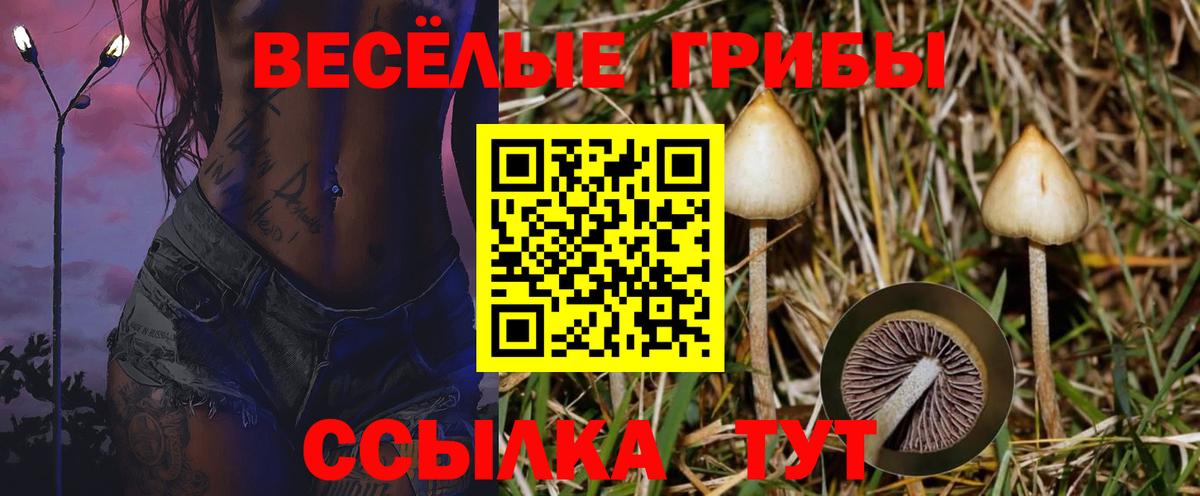 Ханты-Мансийск  Галлюциногенные грибы MAGIC MUSHROOMS  Вход с VPN 
